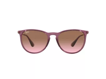 Ray-Ban Erika Slnečné okuliare RB 4171 6591/14