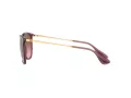 Ray-Ban Erika Slnečné okuliare RB 4171 6591/14