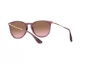 Ray-Ban Erika Slnečné okuliare RB 4171 6591/14
