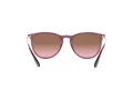 Ray-Ban Erika Slnečné okuliare RB 4171 6591/14