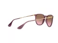 Ray-Ban Erika Slnečné okuliare RB 4171 6591/14