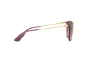 Ray-Ban Erika Slnečné okuliare RB 4171 6591/14
