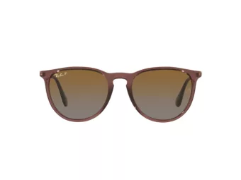 Ray-Ban Erika Slnečné okuliare RB 4171 6593/T5