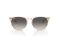 Ray-Ban Erika Slnečné okuliare RB 4171 674211