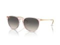 Ray-Ban Erika Slnečné okuliare RB 4171 674211