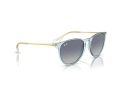 Ray-Ban Erika Slnečné okuliare RB 0RB4171 67434L