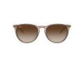 Ray-Ban Erika Slnečné okuliare RB 4171 674413