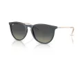 Ray-Ban Erika Slnečné okuliare RB 4171 681311