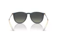 Ray-Ban Erika Slnečné okuliare RB 4171 681311