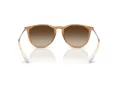 Ray-Ban Erika Slnečné okuliare RB 4171 681413