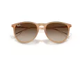 Ray-Ban Erika Slnečné okuliare RB 4171 681413