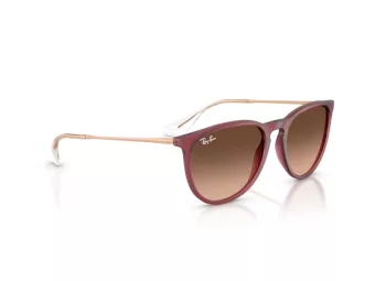 Ray-Ban Erika Slnečné okuliare RB 4171 6815A5