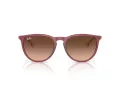 Ray-Ban Erika Slnečné okuliare RB 4171 6815A5