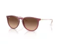 Ray-Ban Erika Slnečné okuliare RB 4171 6815A5
