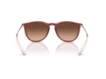 Ray-Ban Erika Slnečné okuliare RB 4171 6815A5