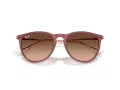 Ray-Ban Erika Slnečné okuliare RB 4171 6815A5