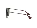 Ray-Ban Erika Slnečné okuliare RB 4171 710/71