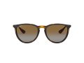 Ray-Ban Erika Slnečné okuliare 4171 710/T5