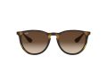 Ray-Ban Erika Slnečné okuliare RB 4171 865/13