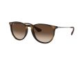 Ray-Ban Erika Slnečné okuliare RB 4171 865/13