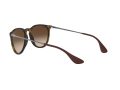 Ray-Ban Erika Slnečné okuliare RB 4171 865/13