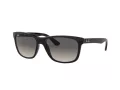 Ray-Ban Rb4181 Slnečné okuliare RB 4181 601/71