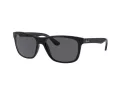 Ray-Ban Rb4181 Slnečné okuliare RB 4181 601/87