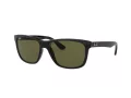 Ray-Ban Rb4181 Slnečné okuliare RB 4181 601/9A