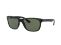 Ray-Ban Rb4181 Slnečné okuliare RB 4181 601