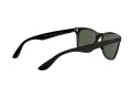 Ray-Ban Wayfarer Liteforce Slnečné okuliare RB 4195 601/71