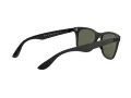 Ray-Ban Wayfarer Liteforce Slnečné okuliare RB 4195 601S/9A