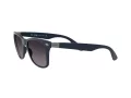 Ray-Ban Wayfarer Liteforce Slnečné okuliare RB 4195 6331/8G