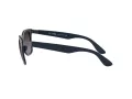 Ray-Ban Wayfarer Liteforce Slnečné okuliare RB 4195 6331/8G