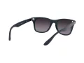 Ray-Ban Wayfarer Liteforce Slnečné okuliare RB 4195 6331/8G