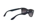 Ray-Ban Wayfarer Liteforce Slnečné okuliare RB 4195 6331/8G