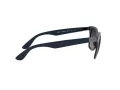 Ray-Ban Wayfarer Liteforce Slnečné okuliare RB 4195 6331/8G