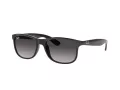 Ray-Ban Andy Slnečné okuliare RB 4202 601/8G