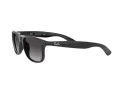 Ray-Ban Andy Slnečné okuliare RB 4202 601/8G