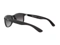 Ray-Ban Andy Slnečné okuliare RB 4202 601/8G