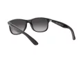 Ray-Ban Andy Slnečné okuliare RB 4202 601/8G