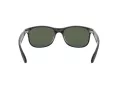 Ray-Ban Andy Slnečné okuliare RB 4202 6069/71