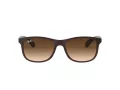 Ray-Ban Andy Slnečné okuliare RB 4202 6073/13