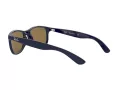 Ray-Ban Andy Slnečné okuliare RB 4202 6153/55