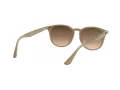 Ray-Ban Slnečné okuliare 4259 616613