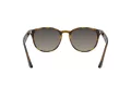 Ray-Ban Slnečné okuliare RB 4259 710/11