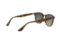 Ray-Ban Slnečné okuliare RB 4259 710/11