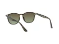 Ray-Ban Slnečné okuliare RB 4259 731/E8