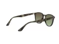 Ray-Ban Slnečné okuliare RB 4259 731/E8