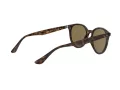 Ray-Ban Slnečné okuliare RB 4305 710/73