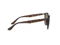 Ray-Ban Slnečné okuliare RB 4305 710/73